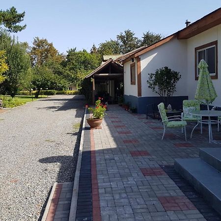 Lodge Mirador Chillán Kültér fotó