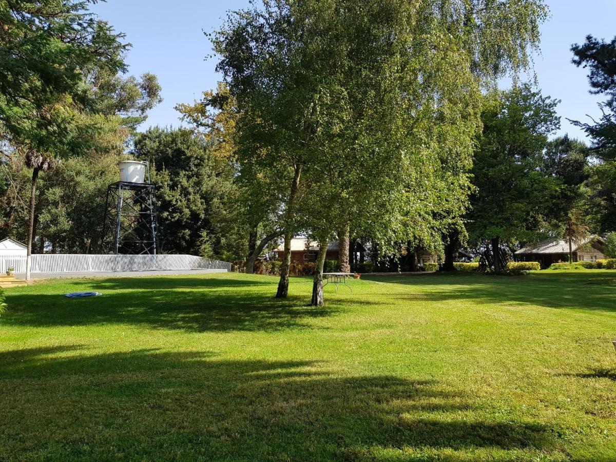 Lodge Mirador Chillán Kültér fotó