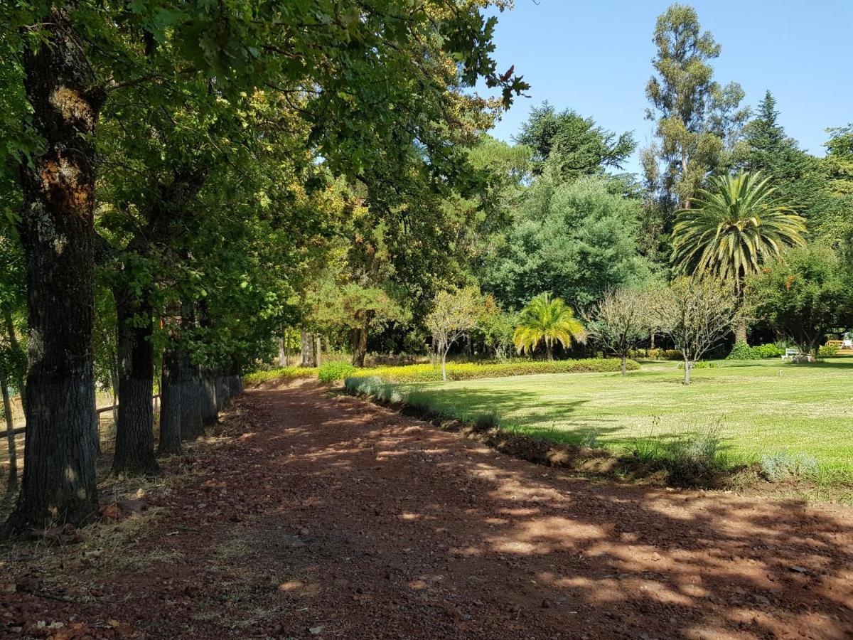 Lodge Mirador Chillán Kültér fotó