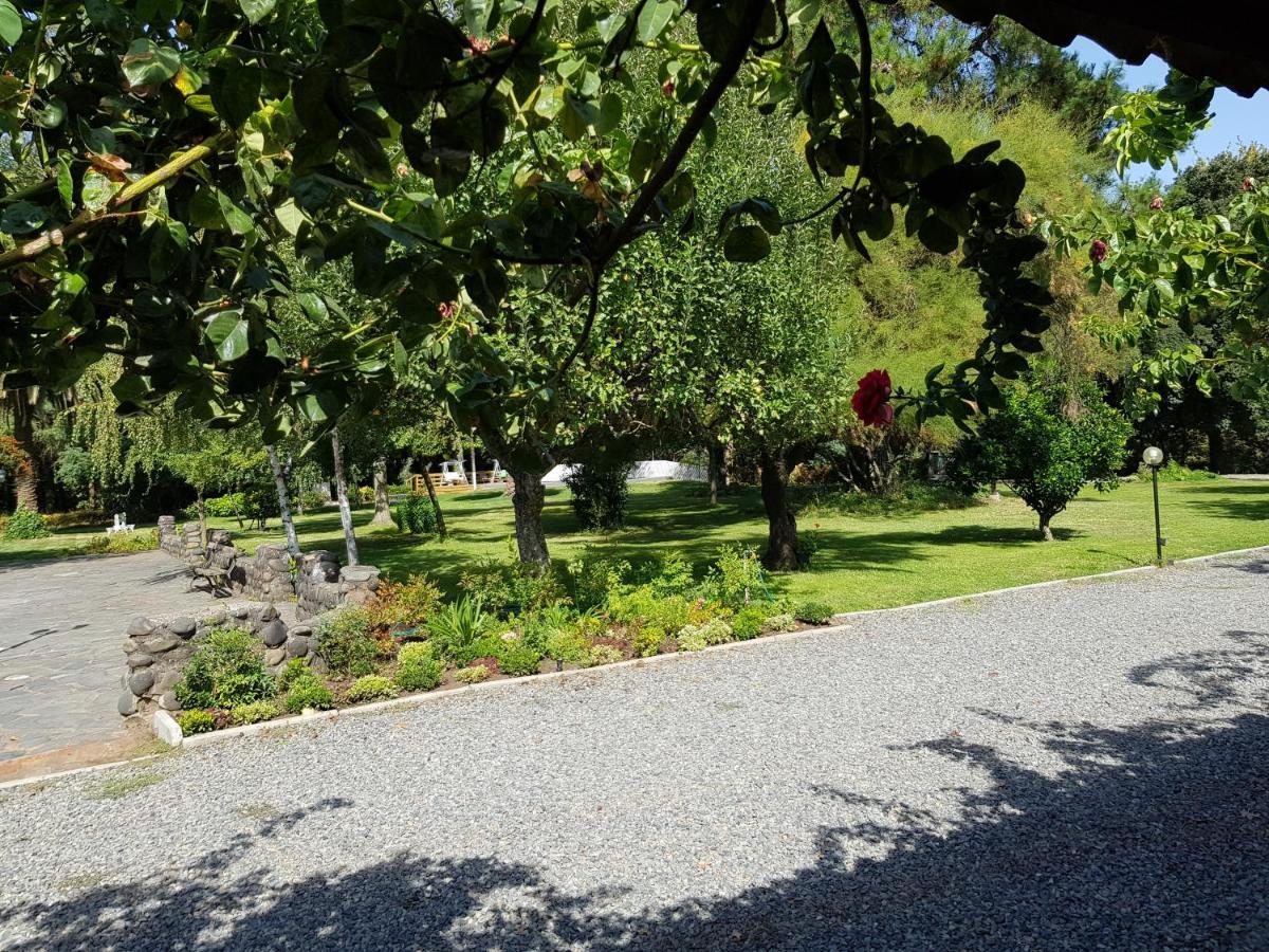 Lodge Mirador Chillán Kültér fotó