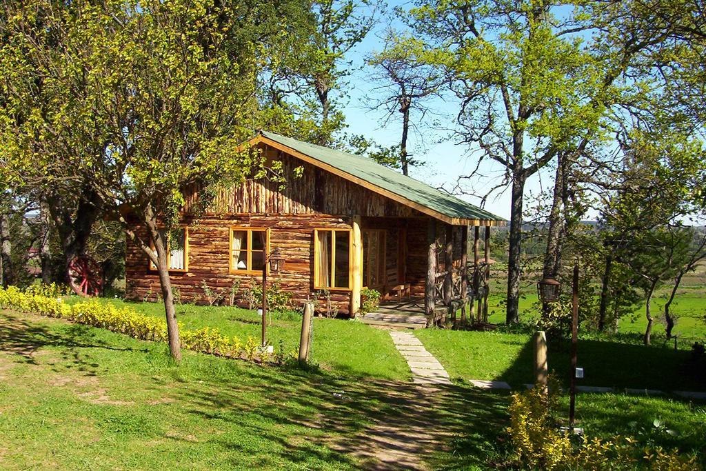 Lodge Mirador Chillán Kültér fotó