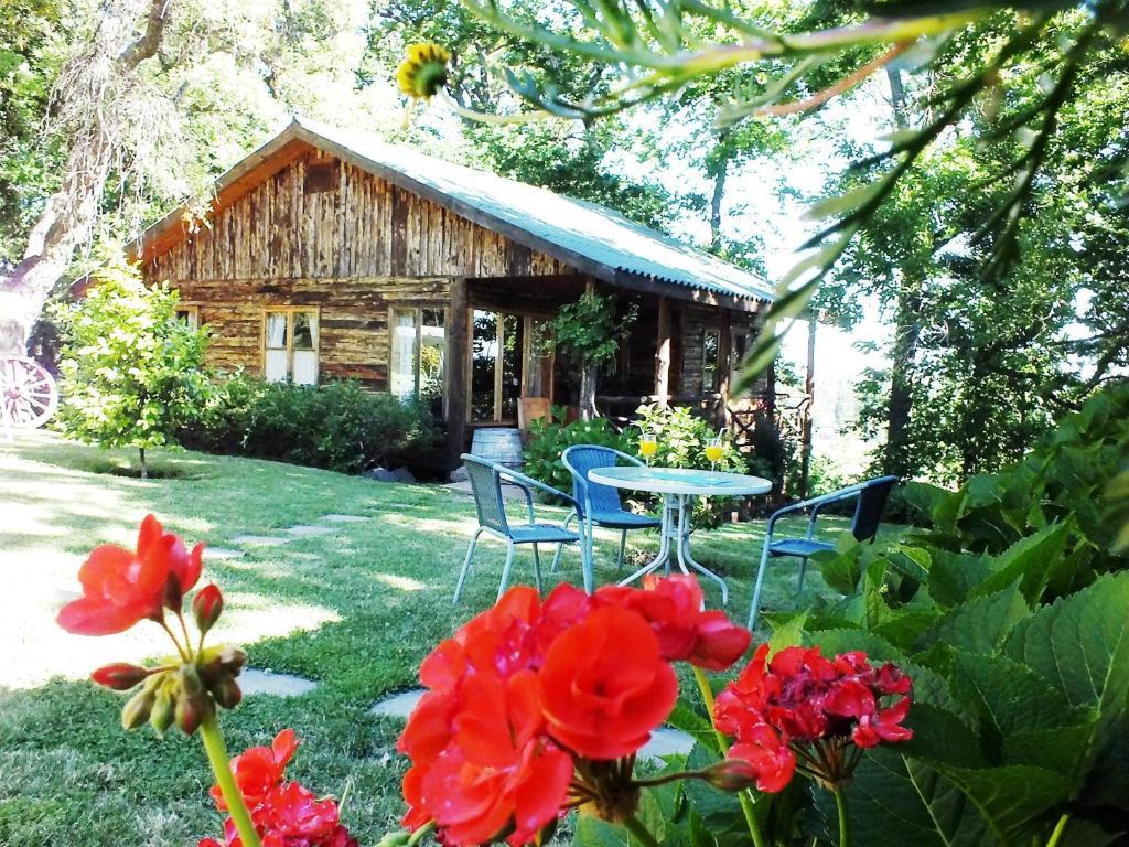 Lodge Mirador Chillán Kültér fotó